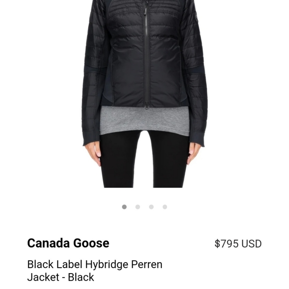 Canada Goose HYBRIDGE PERREN  Black Label sz Large - Picture 2 of 16